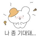 완도상회마트
