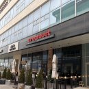 크리밋 | [시흥] 배곧 근처 거북섬 두바이쫀득쿠키, 소금빵 디저트 맛집 "크리밋카페" 내돈내산 두쫀쿠 후기