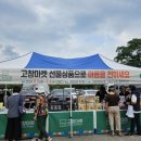 고창군청(주차장) 이미지