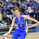 강철체육관