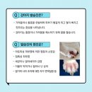 이을동물병원 이미지