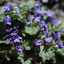 금창초등학교 이미지