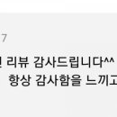연어애참치가