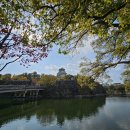 2023-0017 | [공지] 오사카 자유여행 2박3일 맛집추천 쇼핑추천