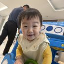 정우재 - 전주시 완산구 고사평4길 10 | 천안 시골쥐 상경일기