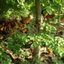 고려농장 이미지