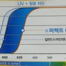 으뜸50안경대전둔산점 이미지