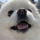 신명유치원 이미지