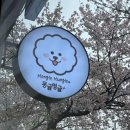 몽글멍글 이미지