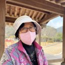 옐로우힐링협동조합