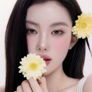 스윗앤라인