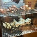 키누카누 파주야당점 | 운정 뷔페 맛집 야당 키누카누 파주점 내돈내산 후기