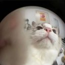 헤어살롱비비드 이미지