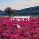 303차,10월26일, 토요 둘레길 길동무, 이미지