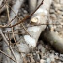 자생약초건강원