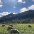 우천목장 이미지