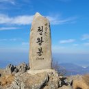 【송년산행】【제488차】 대구 비슬산(1,084m) 12/20(토) 이미지
