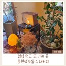 공지로2 | 춘천석사동카페 추천｜분위기 좋은 춘천로스터리 무재커피 재방문 후기