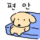 충주카누캠핑장 이미지