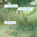 순수바이오 연구소 이미지