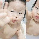 봉황목장 이미지