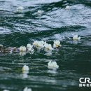 반도여인숙 이미지