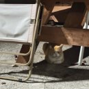 유노 게스트하우스 이미지