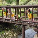 월디어린이집 이미지