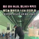 몸이 피니쉬로 가는 최단거리는?ㅡ박상규 프로 이미지