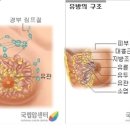 여주-0511 이미지
