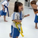 늘찬태권도 이미지