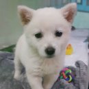 모란동물병원 이미지