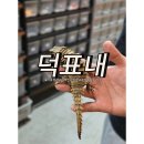 덕표내 | 일산파충류샵 [덕표내]이색 반려동물샵 방문 후기