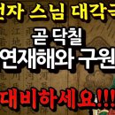 을사년 국운 - 대재앙과 구원자 - 고려시대 대각국사 의천대사 -미스터리코리아 이미지