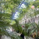 서청도농협주유소 이미지