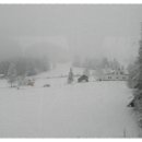 토리에트 이미지