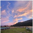 조이원펜션 이미지