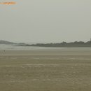 장삼포해수욕장 이미지