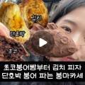 꽃과야초건강원