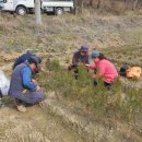 수막 목장 이미지