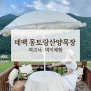 태백목장 | 태백 몽토랑산양목장 후기 피크닉바구니 방갈로 산양 먹이체험
