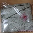 베이비꼬르소