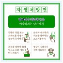 마디한방병원 네이버블로그