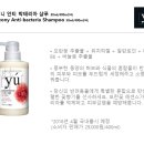 도그비잉코리아