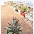 송기농장 이미지