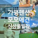 모모애견풀빌라 이미지