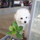 잇츠그루밍타임 이미지