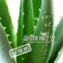퀸즈메이드