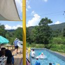 이상구표고농장 | 경상북도 고령군 이상구표고농장스타펜션, 연락처, 후기, 리뷰