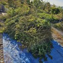 대견농장 이미지